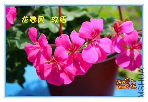 ��Ƭ 066_����������õ��.jpg