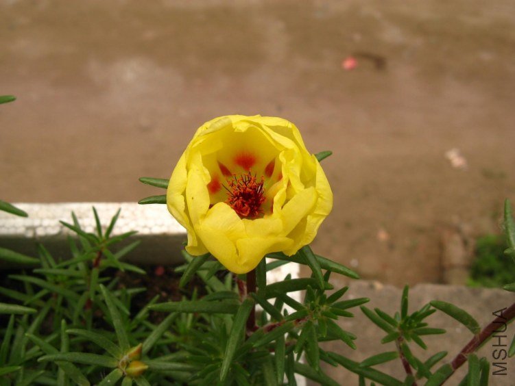 IMG_1890.JPG