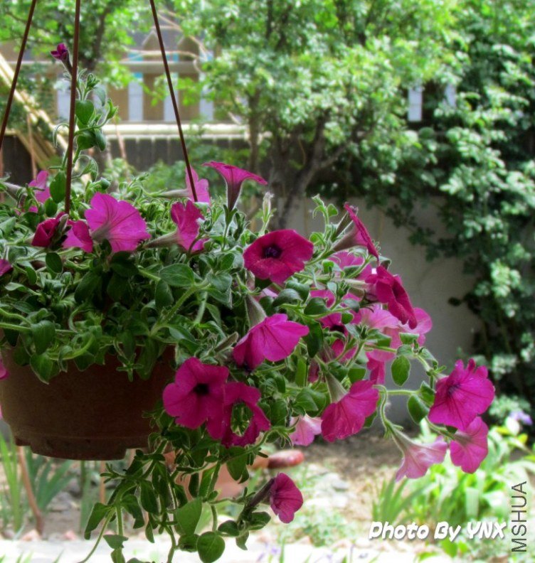 2011.5.6 017_conew1.jpg