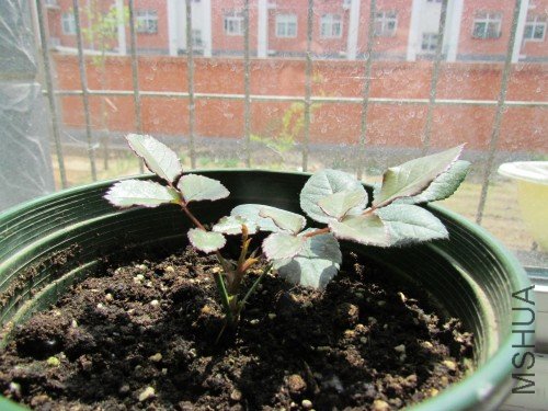 ���İ��� (2)_conew1.jpg