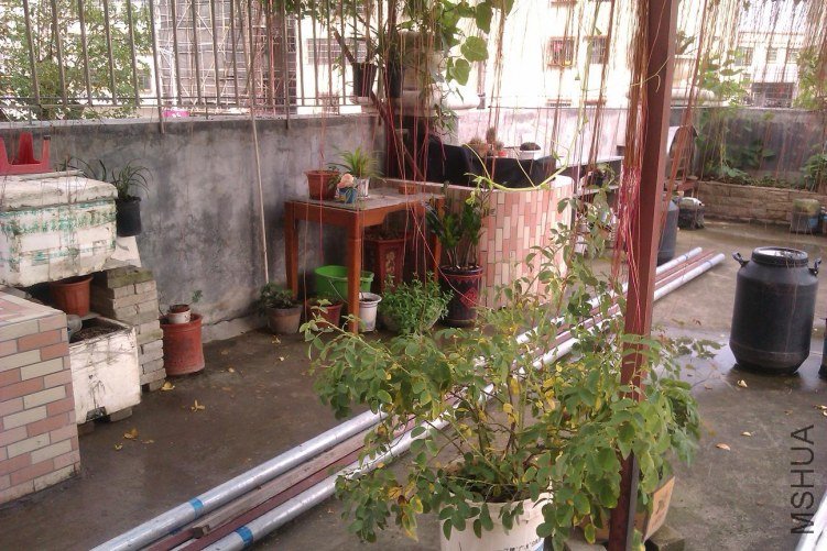IMAG0398.jpg