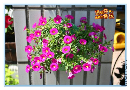 ��Ƭ 039_������ۿ�.jpg