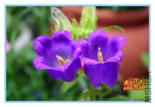 ��Ƭ 020_����2.jpg