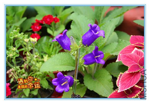 ��Ƭ 017_������1.jpg