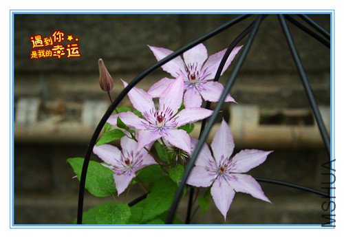 ��Ƭ 039_������.jpg