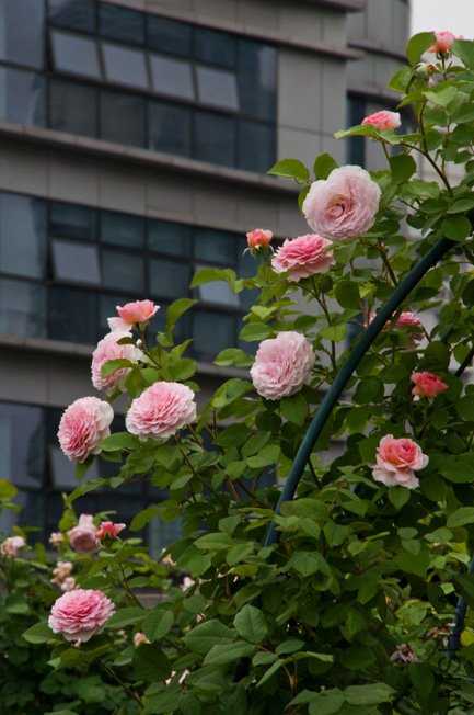DSC_0071b.jpg