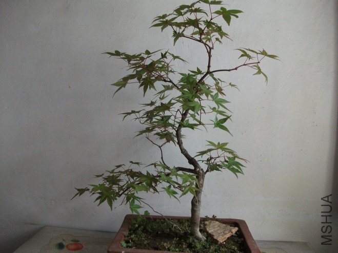 conew_��Ƭ 022.jpg