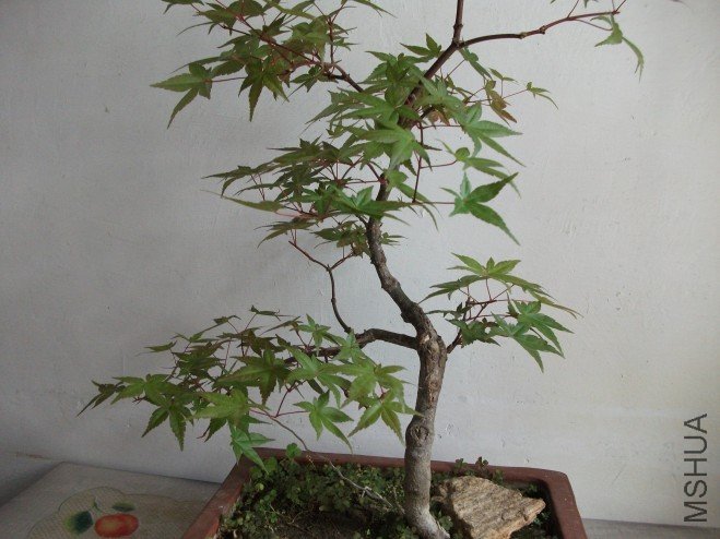 conew_��Ƭ 023.jpg