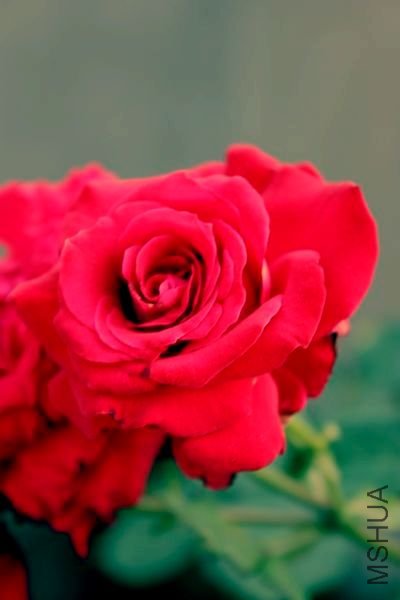IMG_2994.JPG