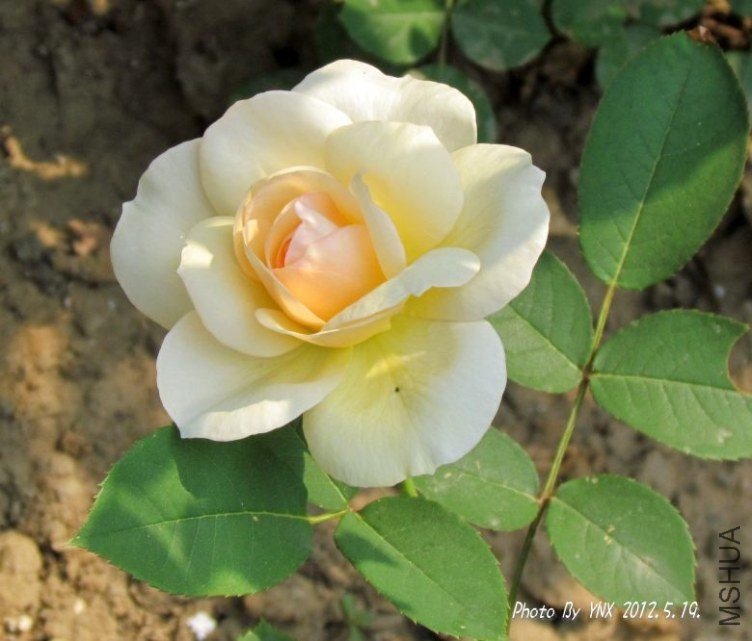 2012.5.19. 021_conew2.jpg