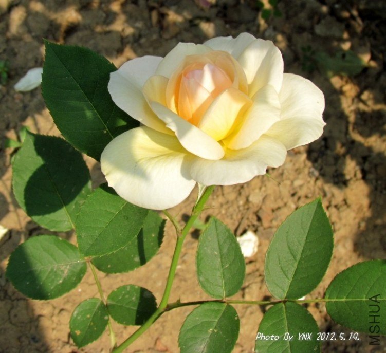 2012.5.19. 034_conew2.jpg