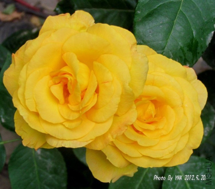 2012.5.20. 060_conew2.jpg