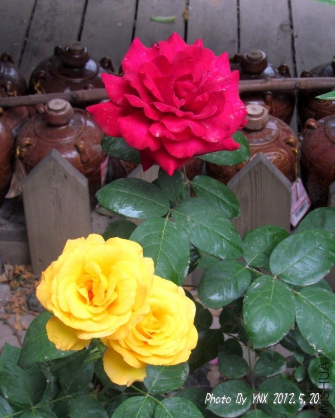 2012.5.20. 058_conew2.jpg