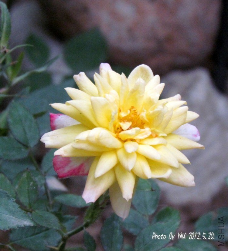 2012.5.20. 013_conew1.jpg