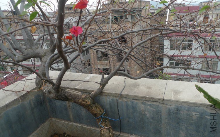 2012-6-16 ���� 12-40-26.jpg