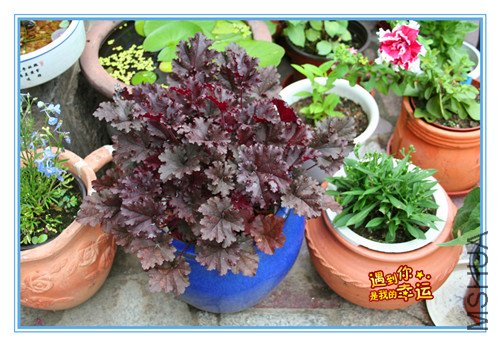 ��Ƭ 067_����2.jpg