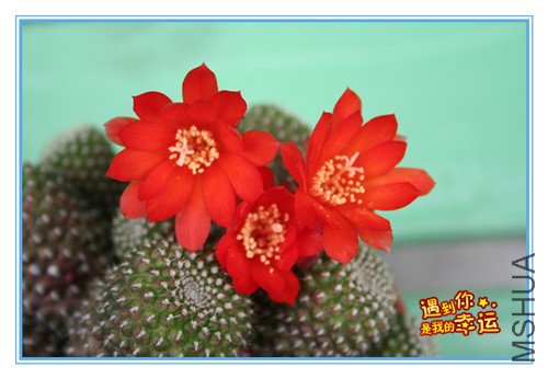 ��Ƭ 003_����2_����.jpg