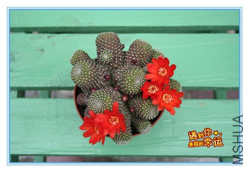 ��Ƭ 002_������1_����.jpg