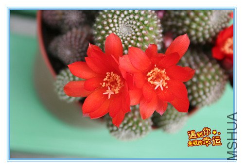 ��Ƭ 005_����3_����.jpg