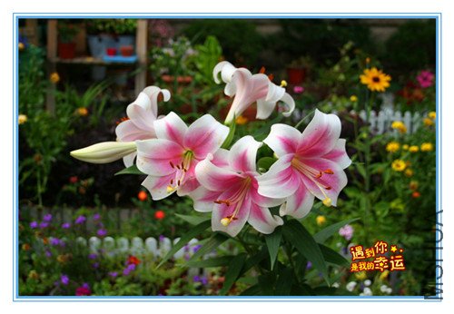 ��Ƭ 001_����.jpg