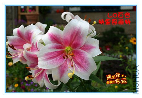 ��Ƭ 003_����_����.jpg