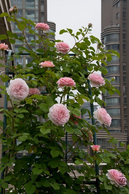 DSC_0032b.jpg