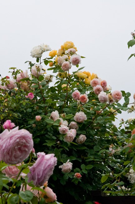 DSC_0048b.jpg