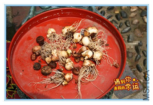 ��Ƭ 024_����_����.jpg