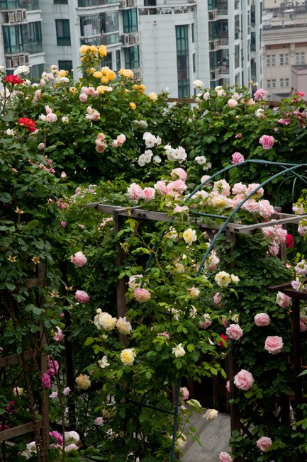 DSC_0058b.jpg