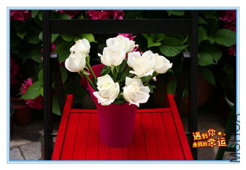 ��Ƭ 003_����.jpg