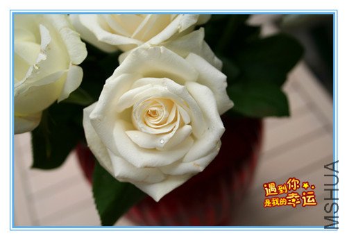 ��Ƭ 005_����.jpg