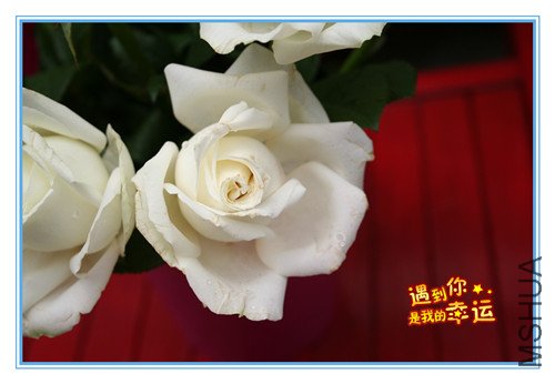 ��Ƭ 006_����.jpg