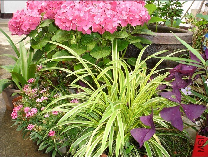 С��  ����.jpg