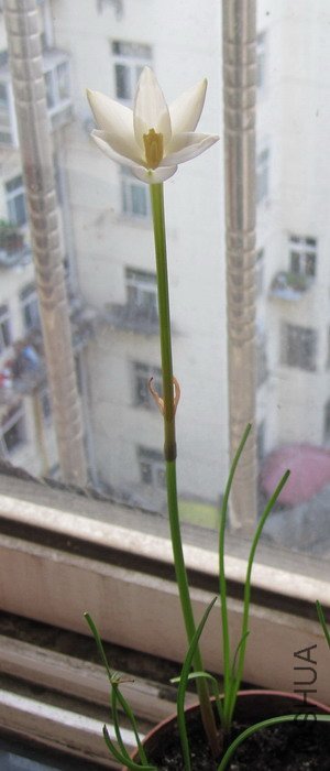 IMG_3455.jpg
