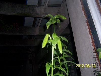 ��Ƭ 002.jpg