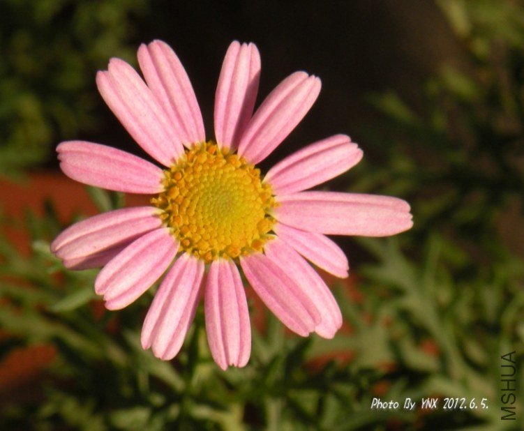 2012.6.5. 022_conew1.jpg