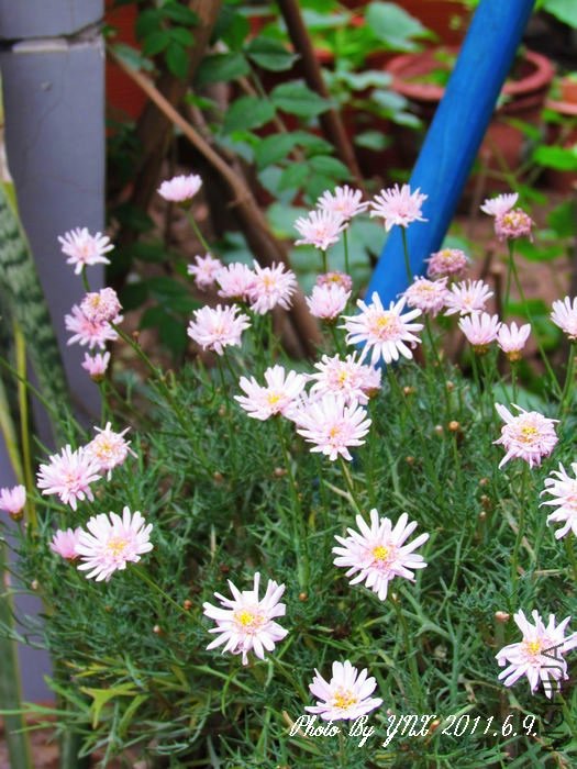 2011.6.9. 057_conew1.jpg