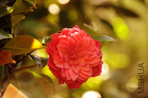 DSC_3689_edited-1.jpg