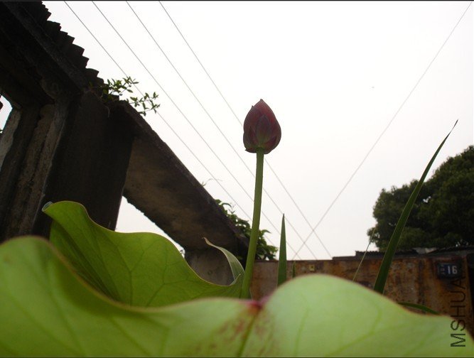 �ɻ�  ��.jpg