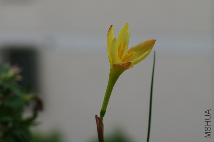 ZQ107316.jpg