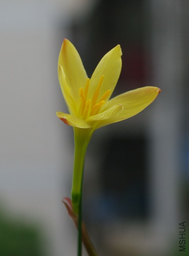 ZQ107318.jpg