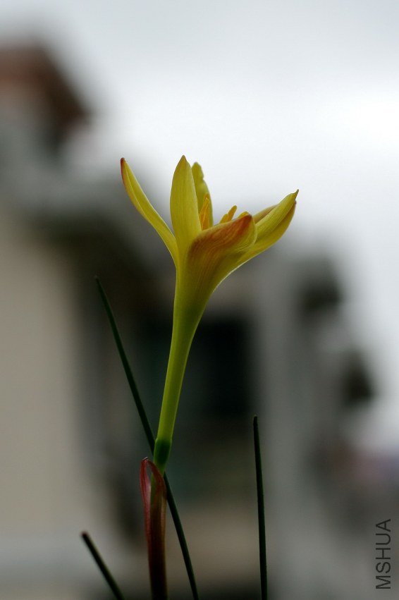 ZQ107319.jpg