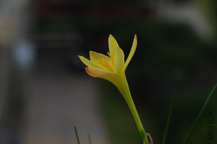 ZQ107322.jpg