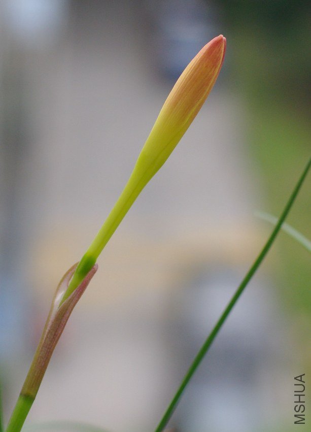 ZQ107313.jpg