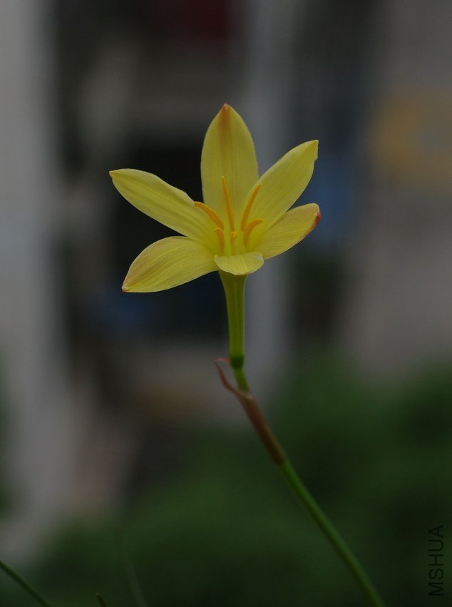 ZQ107333.jpg