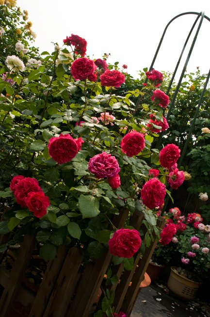 DSC_0009b.jpg