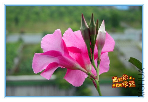 ��Ƭ 214_����Ʈ2.jpg