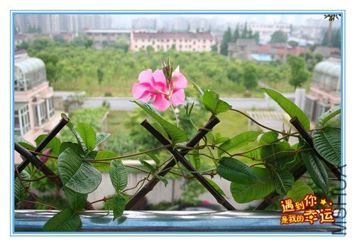 ��Ƭ 211_����Ʈ1.jpg