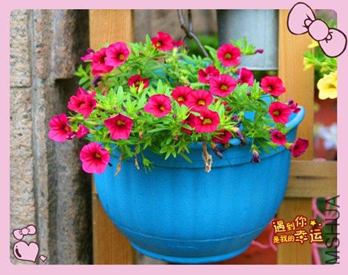 ��Ƭ 067_����10.jpg