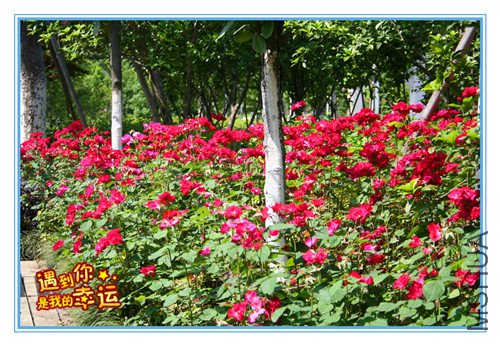 ��Ƭ 112_��������.jpg